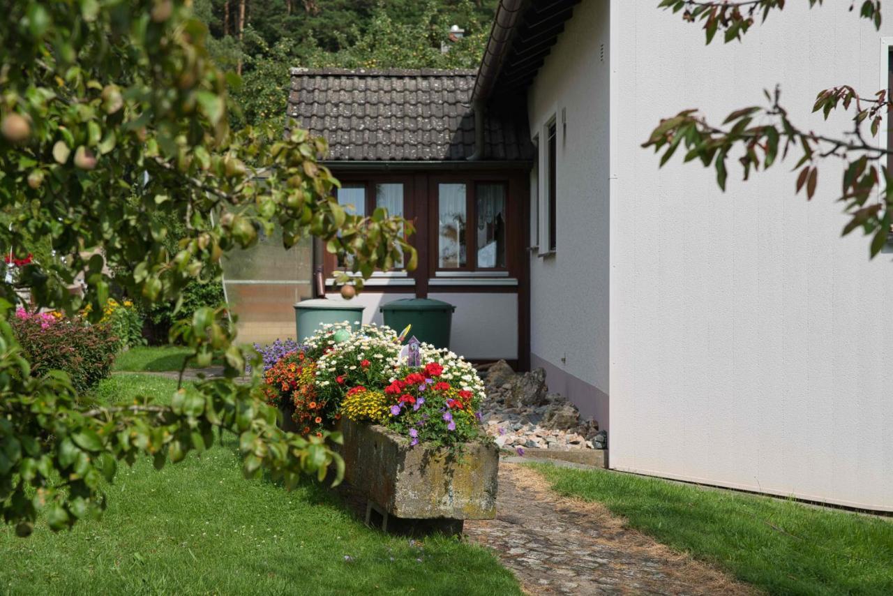 Ferienwohnung Werner Mit Terrasse 阿恩多夫 外观 照片